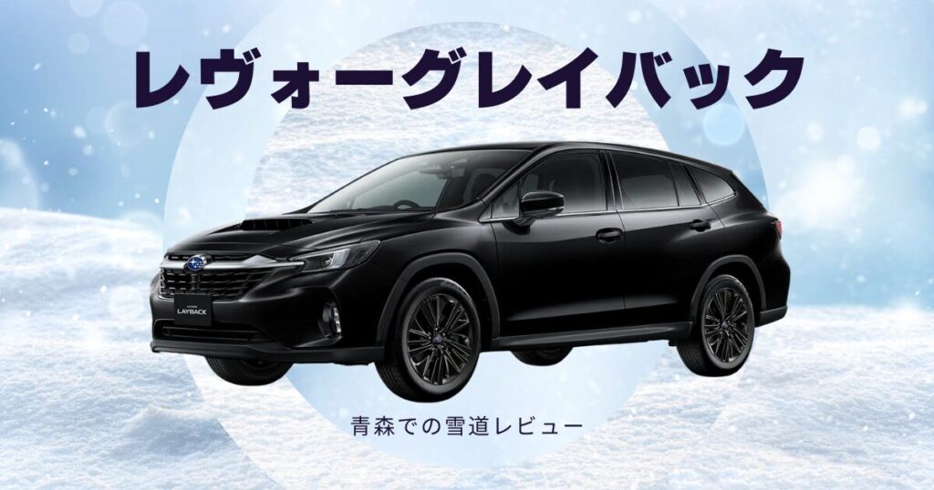 レヴォーグレイバック